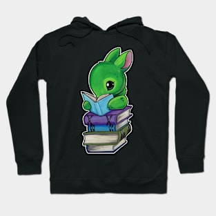 Books and bunny Hoodie